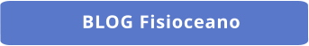 BLOG Fisioceano