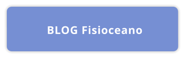 BLOG Fisioceano