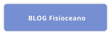BLOG Fisioceano